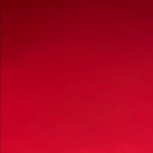 Meet your Posher, Isabella